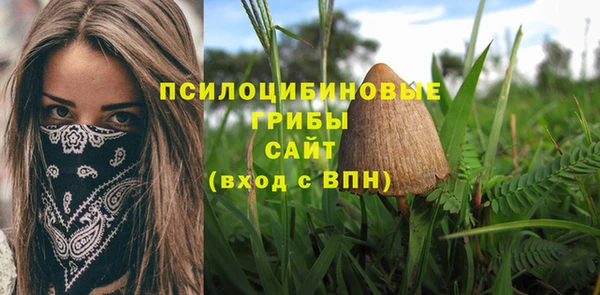 спиды Баксан