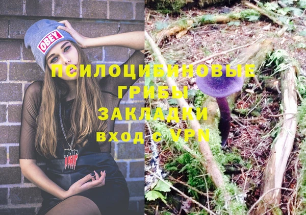 трава Балахна
