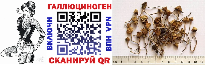 Псилоцибиновые грибы прущие грибы  что такое наркотик  Невель 